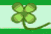 Lucky clover