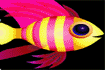 Jeu Super fish