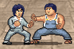 Kungfu Fighter