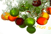 Jeu Fruit shooting v3