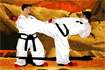 Jeu TaeKwon-Do