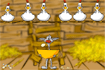 Jeu Binki on the chicken farm