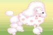 Poodle puff Party