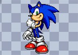 Sonic the hedgehog