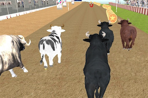 Jeu Angry bull racing