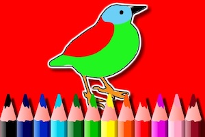 Birds coloring book