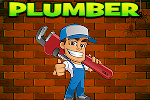 EG plumber