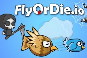 Fly or die IO