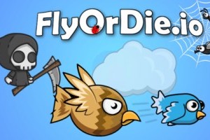 Jeu Fly or die IO