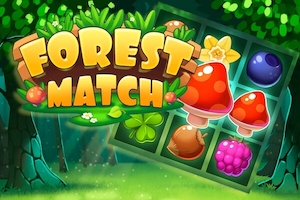 Jeu Forest match