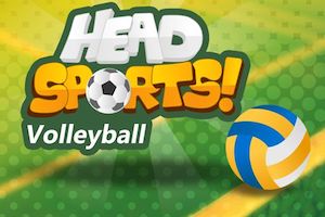 Jeu Head sports volleyball