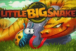 Jeu Little big snake