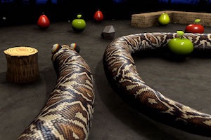 Jeu Nova snake 3d