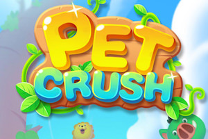 Jeu Pet crush