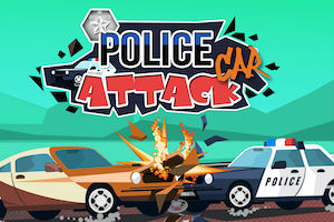 Police car attack