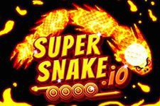 Super snake io